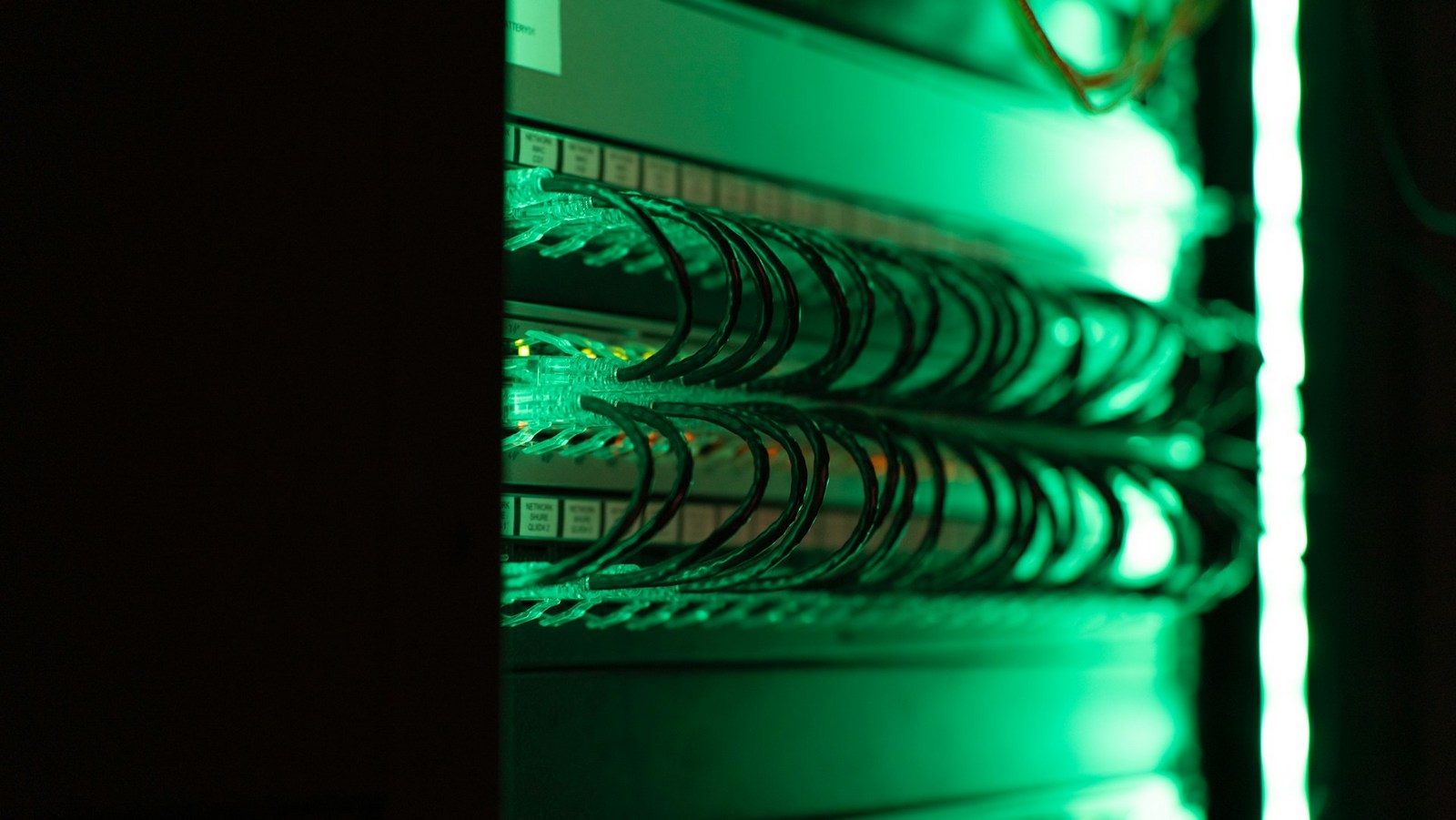 Server racks in a modern data center